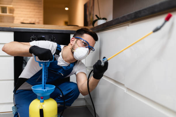 Best Wasp Removal Services  in Mount Carmel, PA