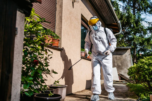 Best Local Pest Control Services  in Mount Carmel, PA