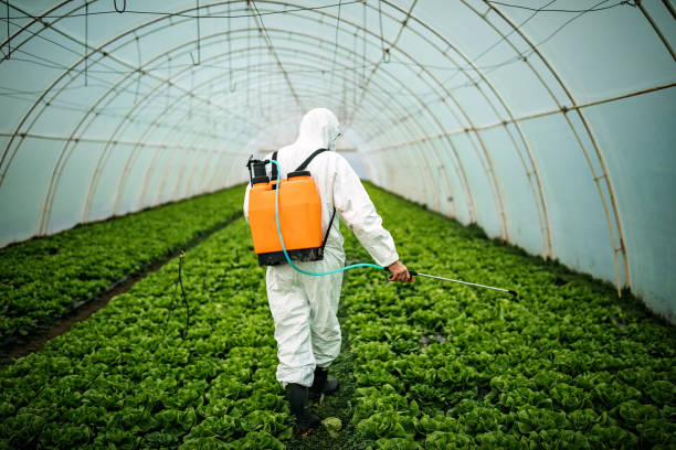Best Affordable Pest Control Services  in Mount Carmel, PA
