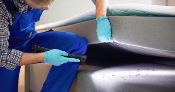 Best Pest Removal Services  in Mount Carmel, PA