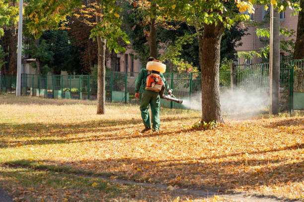 Spider Control Near Me in Mount Carmel, PA