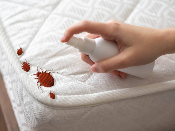 Professional Pest Control in Mount Carmel, PA